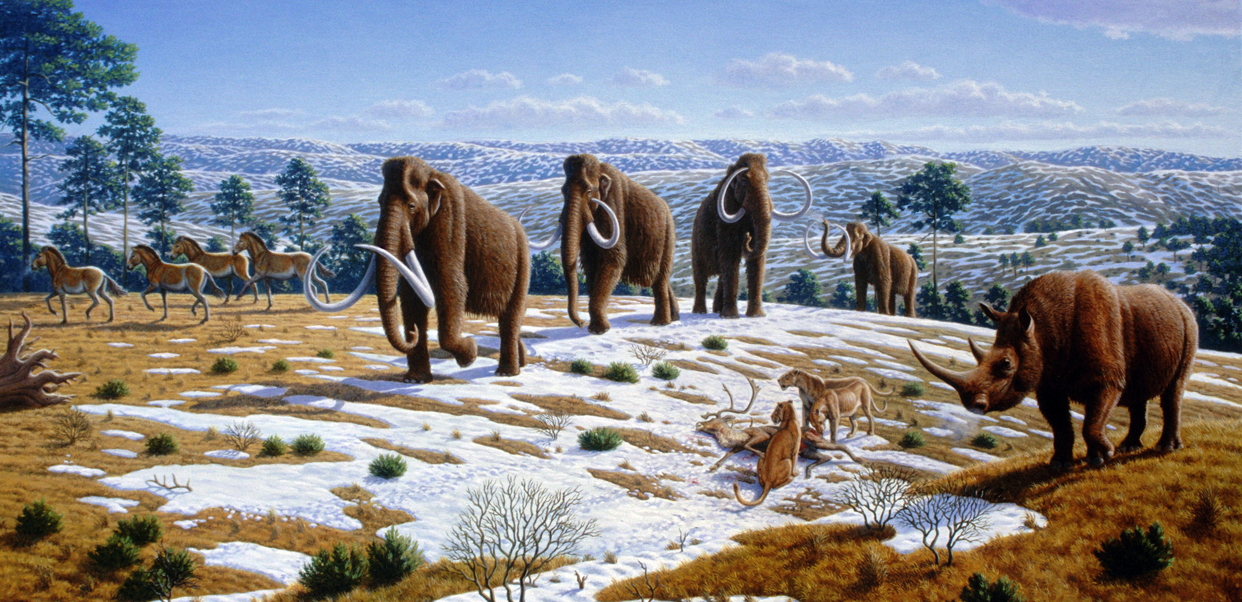 header_image.jpg
